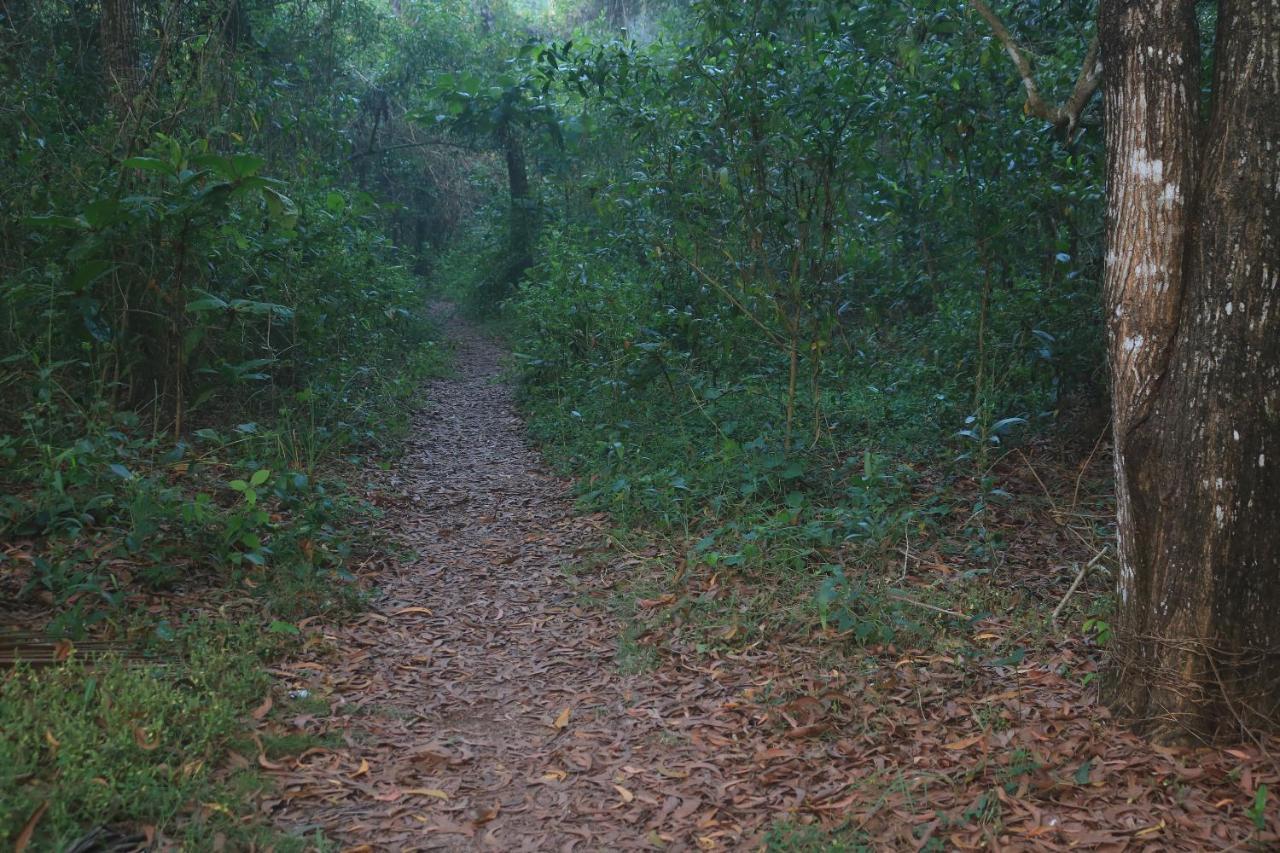 Arakkal Heritage Mararikulam Zewnętrze zdjęcie